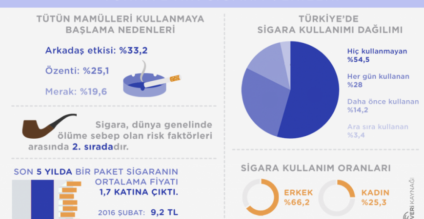 Türkiye'de Sigara Kaynaklı Yüz Binlerce Ölüm Önlenebilirdi!